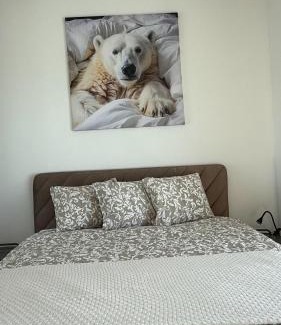 Suwalki Apartamento | White Bear Apartment