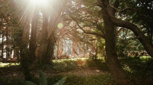 Red Hill Casa | White Hill Cottage