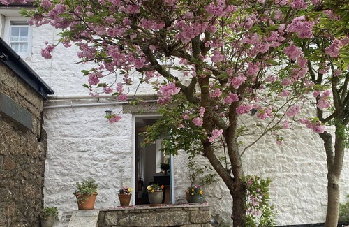 Zennor Cama Y Desayuno | White House