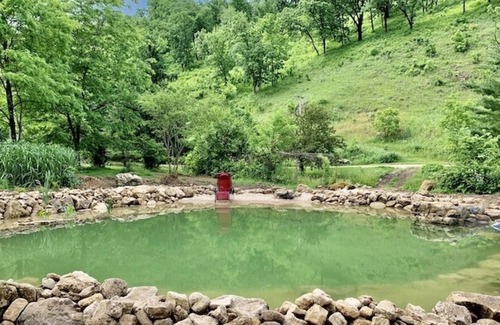 Lansing Cabina | White Pines w/ Swimming Pond & Hot Tub