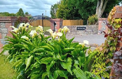 Navan Casa | White Quarry Hse Quarry Road