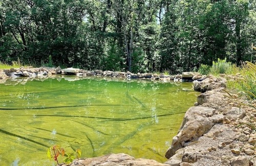 Waterville Cabina | Whitetail Ridge Cabin with Swimming Pond & Hot Tub Jacuzzi