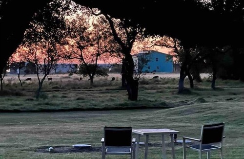 Rockport Casa | “Whooperazzi” The Sunrise Bay View Camper