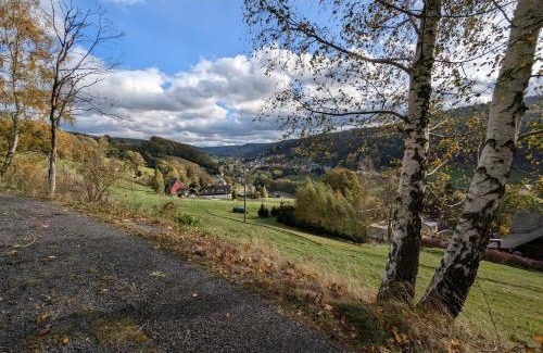 Breitenbrunn/Erzgeb. Casa | Wichtelhaisl Rittersgrün im Erzgebirge - Entspannen im fröhlichen Tiny House - umzäunter Naturgarten-Hunde willkommen-Ebike und Elektroauto laden