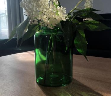 Gniezno Apartamento | Wieża Gniezno Apartament KRÓLOWA