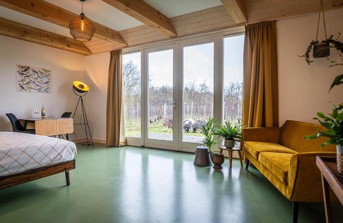 Den Burg Cama Y Desayuno | Wijngaard de Kroon van Texel
