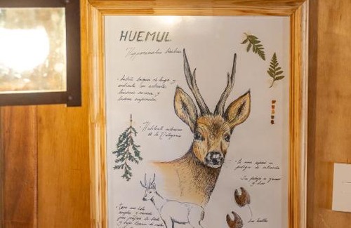 Lago Puelo Chalet De Esquí | Wild Cabañas Boutique