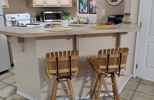 Harlingen Condominio | Wild Cactus 🌵
