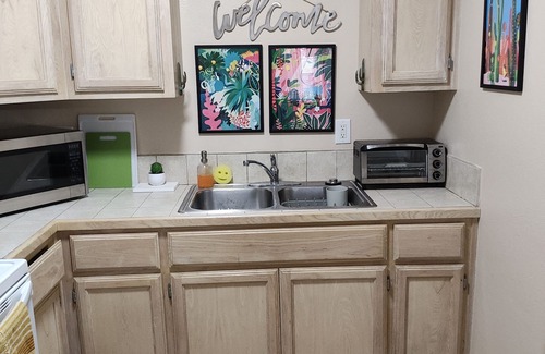 Harlingen Condominio | Wild Cactus 🌵