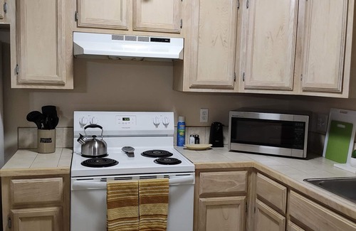 Harlingen Condominio | Wild Cactus 🌵