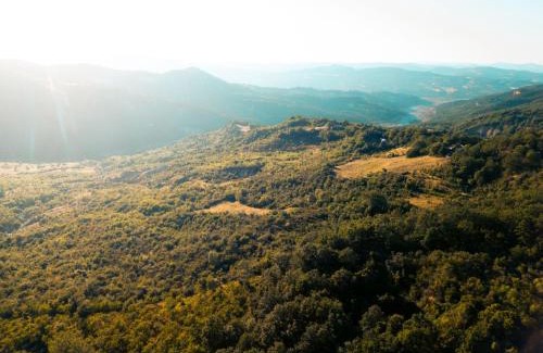 San Costantino Albanese Otro | Wild Orchard Farm