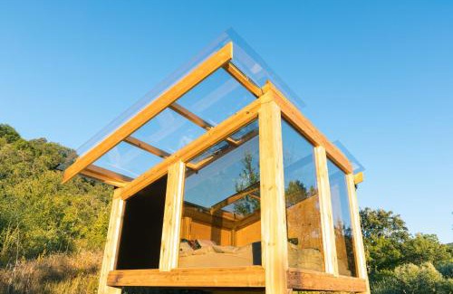 San Costantino Albanese Otro | Wild Orchard Farm