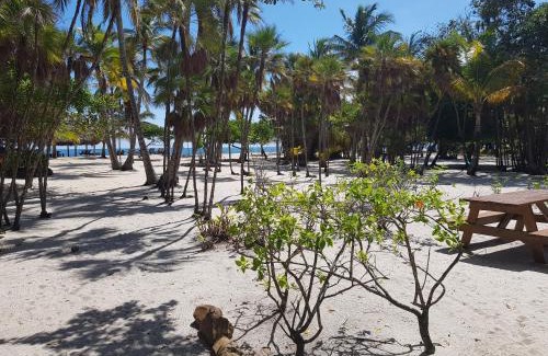 Placencia Hotel | Wild Orchid