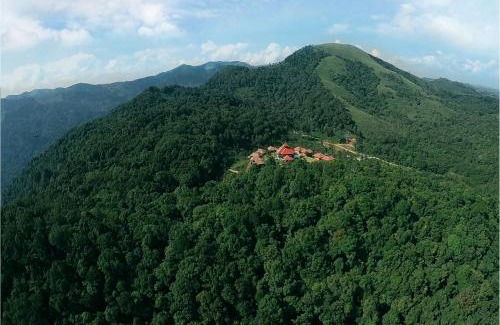 Devala Complejo | Wild Planet Jungle Resort