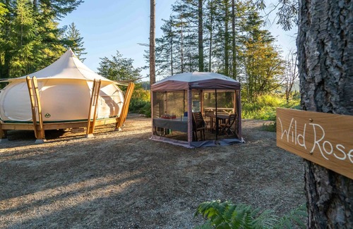 Black Creek Alquiler De RV | Dog friendly glamping!