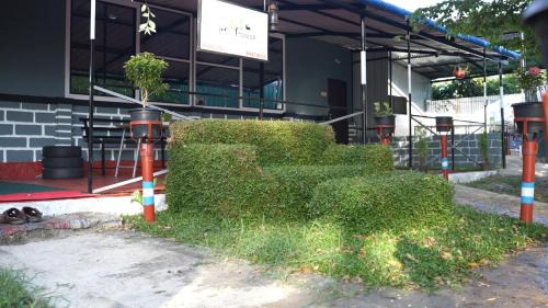Masinagudi Casa | Wild Tusker Homestay Masinagudi by LexStays