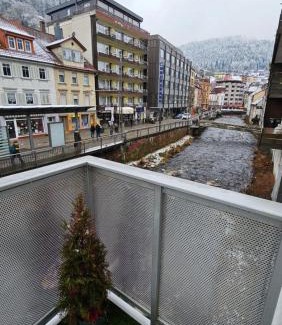 Bad Wildbad Apartamento | WiLDBED DE