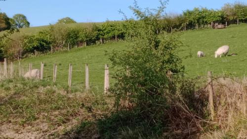 Llandovery Otro | Wildcamping Gilbert Hight