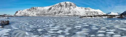 Bostad Casa | Wildlife Panorama Lofoten