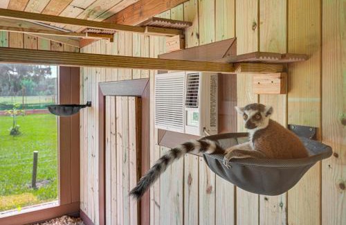 Webster Casa | Wildlife Sanctuary On-Site Modern Webster Home!