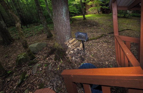 Cosby Cabina | Wildwood Flower -Rustic, cozy, authentic log cabin