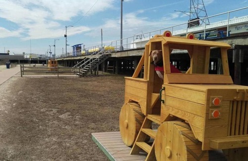 Cape May - Wildwood Apartamento | WildWoof Beach Bungalow - 3 Blocks to Beach