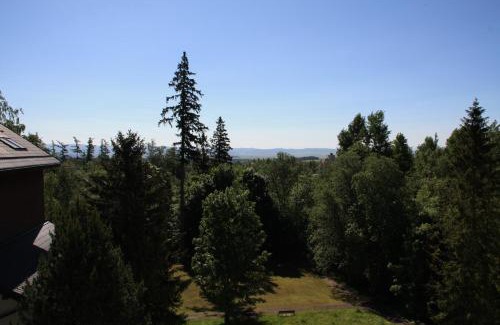 Tatranska Lomnica Apartamento | Wili Tatry Apartments