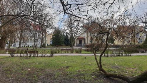 Inowroclaw Cama Y Desayuno | Willa AS