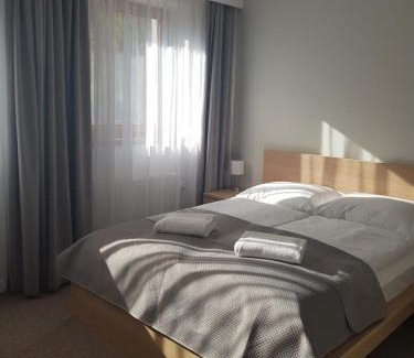 Meszna Casa | Willa Beskid