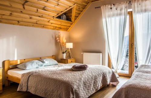 Złockie Casa | Willa Golasówka