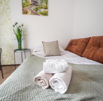 Brzezinka Apartamento | Willa Zator