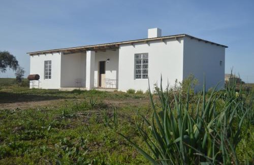 Hantam Apartamento | Willemsrivier Trekpad Guest Houses