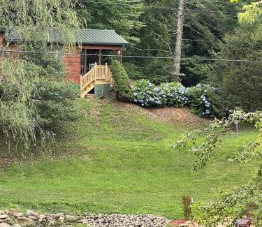 Asheville Casa | Willow Pond Cabin that is peaceful and quiet