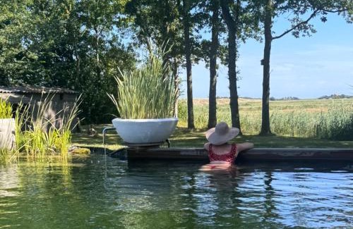 De Waal Cama Y Desayuno | Wiltsangh Texel Tuinsuite Light