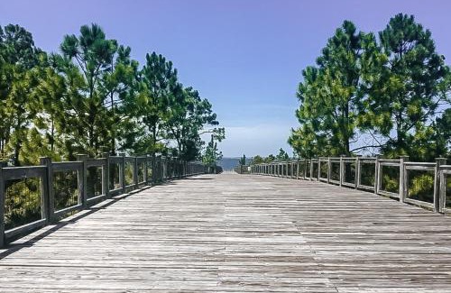 Port St. Joe Casa | WindMark - Sweet N Salty