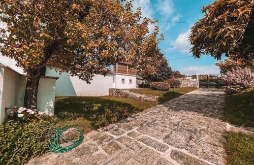 Santa Maria da Feira Casa | Windmill House