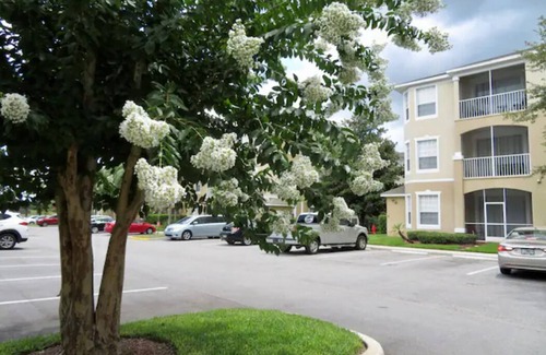 Windsor Palms Casa | Windsor Palm Resort Top Floor 2BR Disney Area