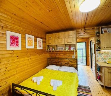 Tkibuli Apartamento | Windy Hills