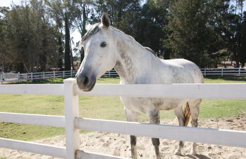 Santa Barbara Casa | Wine Country Ranch Escape