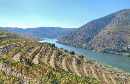 Torre de Moncorvo Casa | Wine House - Quinta Vale de Carvalho