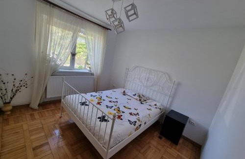 Gura Vadului Apartamento | Wine Road Apartment