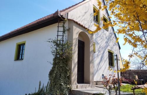 Pavlov Apartamento | WineBerry Apartment