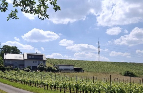 Riol Apartamento | Bodega "Auf Plandert" - 2-Bettwohnung ****