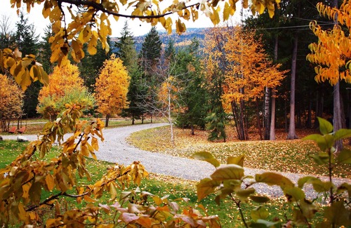 Kaslo Cabaña | Wing Creek Resort