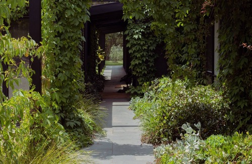Red Hill South Casa | Winifred - Heart of the wine region.