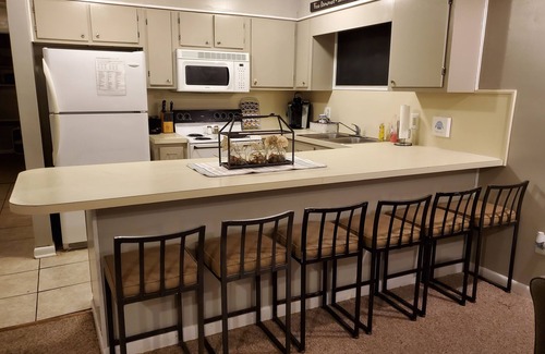 Ghent Condominio | Winterplace 3BR / 2BA Condo - Ski In Ski Out !!!