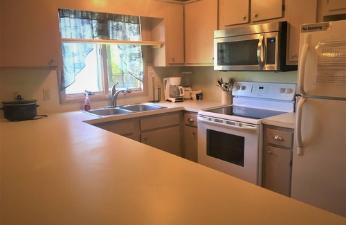 Ghent Apartamento | Gran terraza privada con vistas a la montaña, en ladera de Winterplace, cerca de Beckley