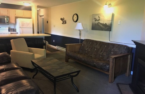 Ghent Apartamento | Gran terraza privada con vistas a la montaña, en ladera de Winterplace, cerca de Beckley