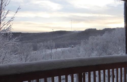 Ghent Apartamento | Winterplace Condos - Ski In Ski Out! E101