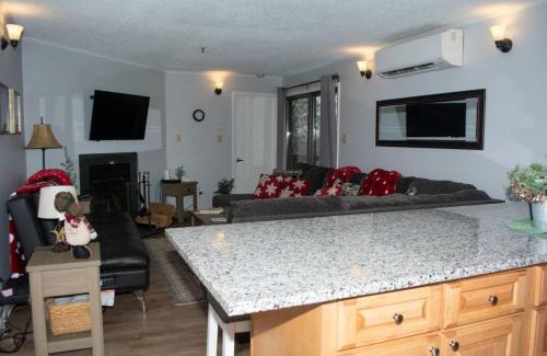 Ghent Apartamento | Winterplace Condos - Ski In Ski Out! E101